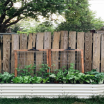 Why Is Vego Garden The Best Store For Getting Your Raised Garden Bed?