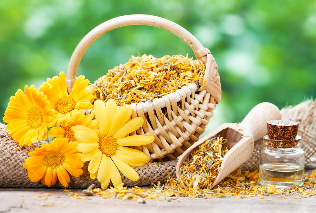 how do calendulas boost mental health