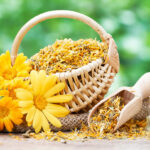 how do calendulas boost mental health